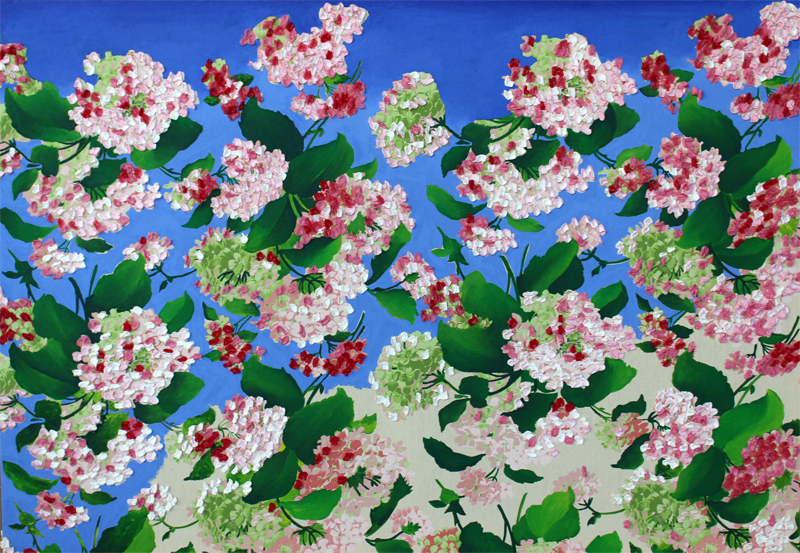 Changing skies and flowers